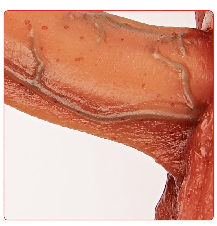 MRIMIN Beige MRIMIN FTM Silicone Erect Penis Prosthesis Packer N Play Flexible for G Spot-MR70